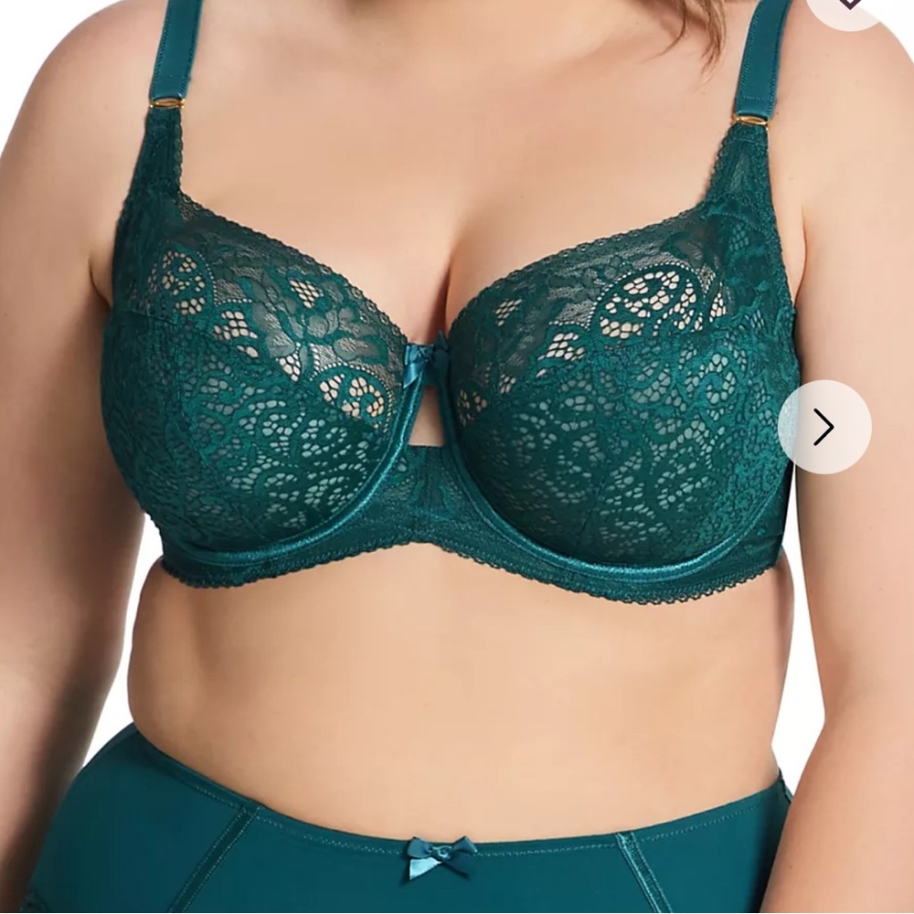 Sculptresse  Elegant Lace Teal Bra
